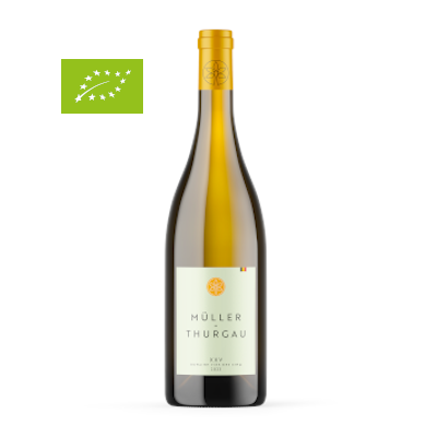 [XXV] Müller-Thurgau - Domaine XXV